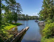 113 Lake Forest Trail, Chapin image