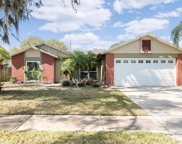 743 Stillview Circle, Brandon image