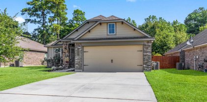 14344 N Summerchase Circle, Willis
