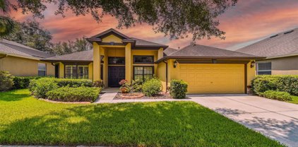 15620 Starling Water Drive, Lithia