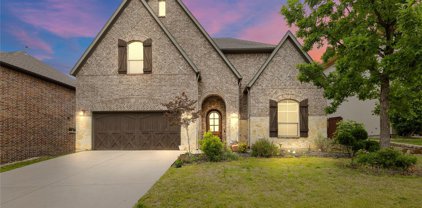 7009 Brook Forest  Circle, Plano