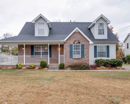 404 Pointe Clear Dr, Smyrna