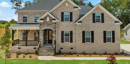 740 Enoree River Place, Greer