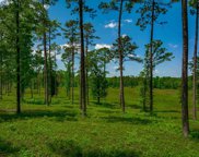 1626-06 Sumter Highway Unit #Lot 6, Rembert image