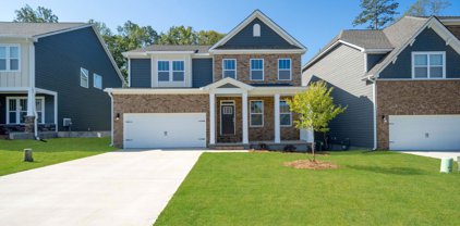 329 Addie Court, Reidville