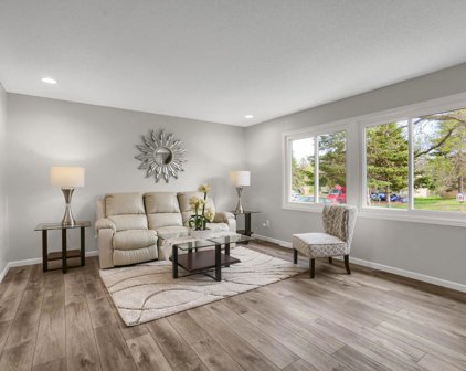 527 Elaine Avenue, Shoreview