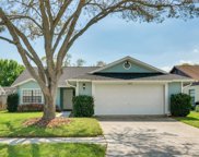 8709 Hampden Drive, Tampa image