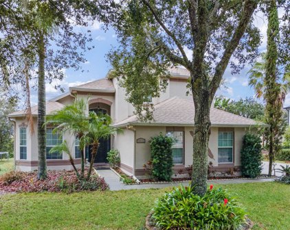 2361 Home Again Road, Apopka