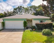 9619 Water Fern Circle, Clermont image