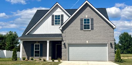 3306 Bootknife Dr, Bell Buckle
