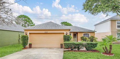 4441 Stonemeadow Drive, Orlando
