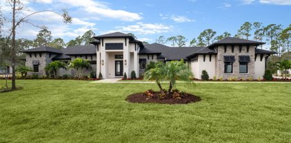 1612 Turnbull Crossings Drive, New Smyrna Beach
