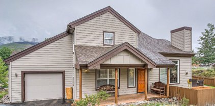 1652 N Chipmunk  Lane, Silverthorne