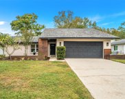 3567 Fairway Forest Drive, Palm Harbor image