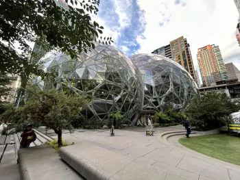 amazon