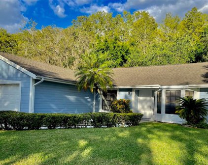 14667 Eagles Crossing Drive, Orlando