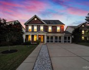 3359 Mandrake  Court, Tega Cay image