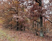 3451 State Hwy 51, Marble Hill image