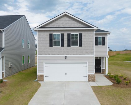 1152 BUTTON BUCK Lane, Grovetown
