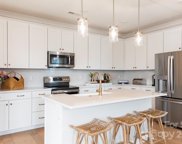 2028 Howell Creek  Way, Charlotte image