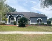 2629 Berryfield Place, Valrico image
