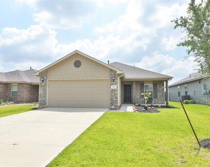 21223 Trumpet Lily Trail, Tomball