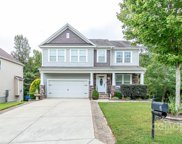 883 Ivy Trail  Way, Fort Mill image