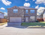 3948 Grizzly Hills  Circle, Fort Worth image