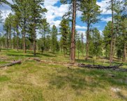 TBD Star Valley Drive, Custer image