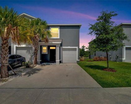 3250 Pleasant Willow Court, Brandon