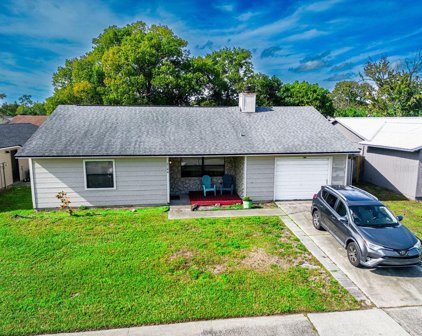 2844 Calico Court, Orlando
