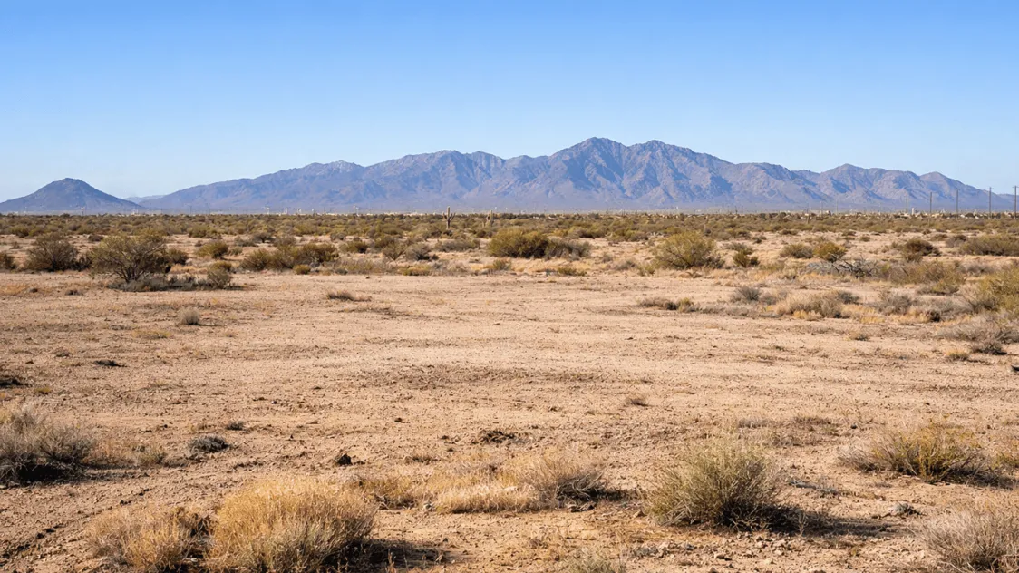 large parcel of land in buckeye