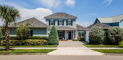 961 Celadon Street, Winter Garden