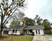 216 Braly Drive, Summerville image