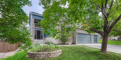 9714 Red Oakes Drive, Highlands Ranch