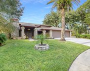15704 Richboro Court, Tampa image