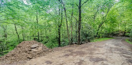 104 Tiger Lily Trail, Beech Mountain