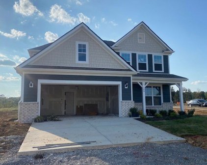 300 Ibis Place, Mount Juliet