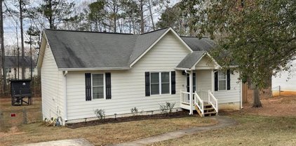 117 Peach Forest Place, Douglasville