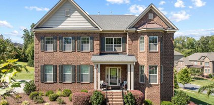 10906 Sorrel Ridge  Drive, Mint Hill