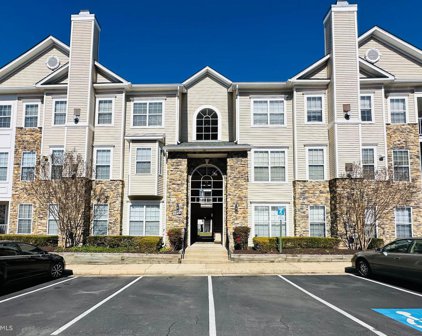 5908 Founders Hill Dr Unit #302, Alexandria