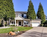 10341 Misty Moss  Court, Mint Hill image
