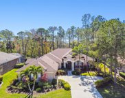 10563 Greensprings Drive, Tampa image