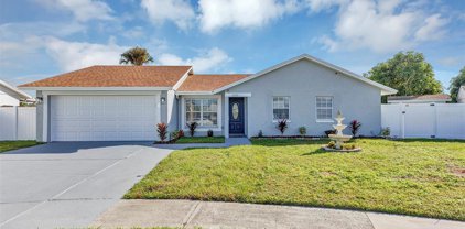 11231 Stone Gate Court, Orlando