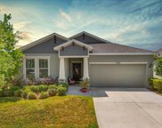 11931 Bahia Valley Drive, Riverview image