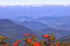 BLACK MOUNTAIN NC