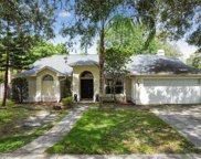 15109 Craggy Cliff Street, Tampa image