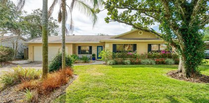 2818 Fitzooth Drive, Winter Park