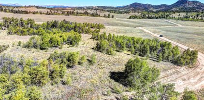 225 Antelope  Way, Como