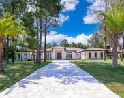 15124 Pendio Drive, Montverde image
